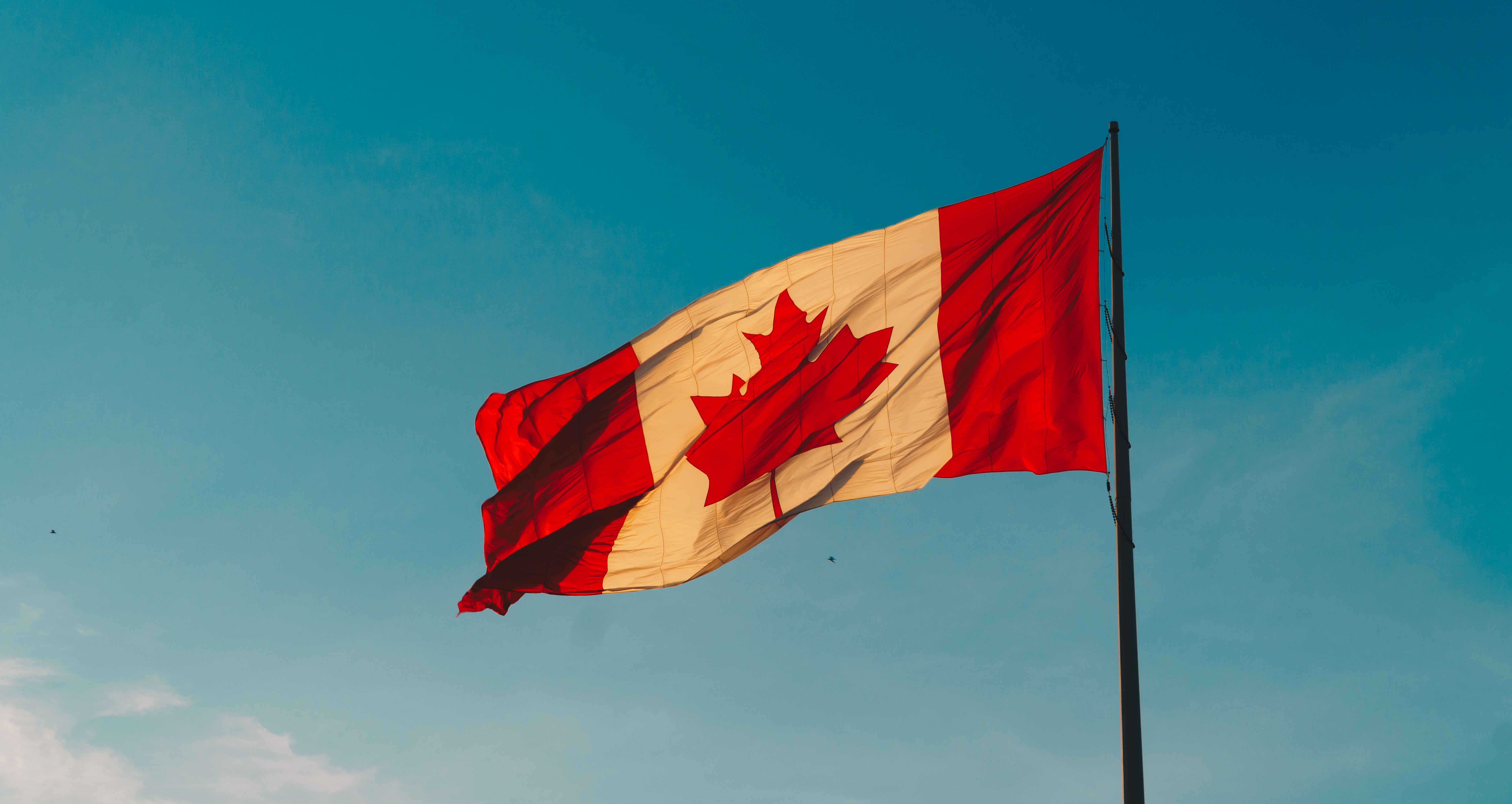 Bandiera canadese - Canadian flag